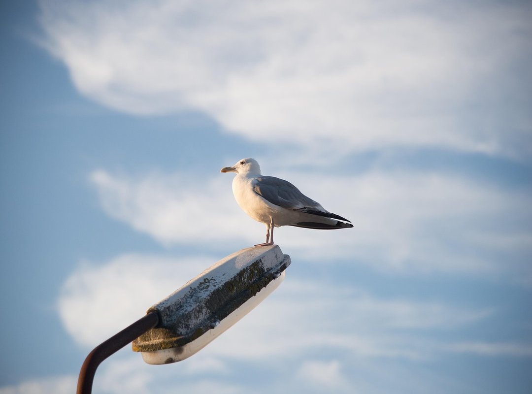 How One Song Became Tied to Two Opposite Videos