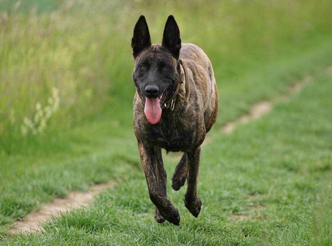 A Quick Guide to Using the Platform