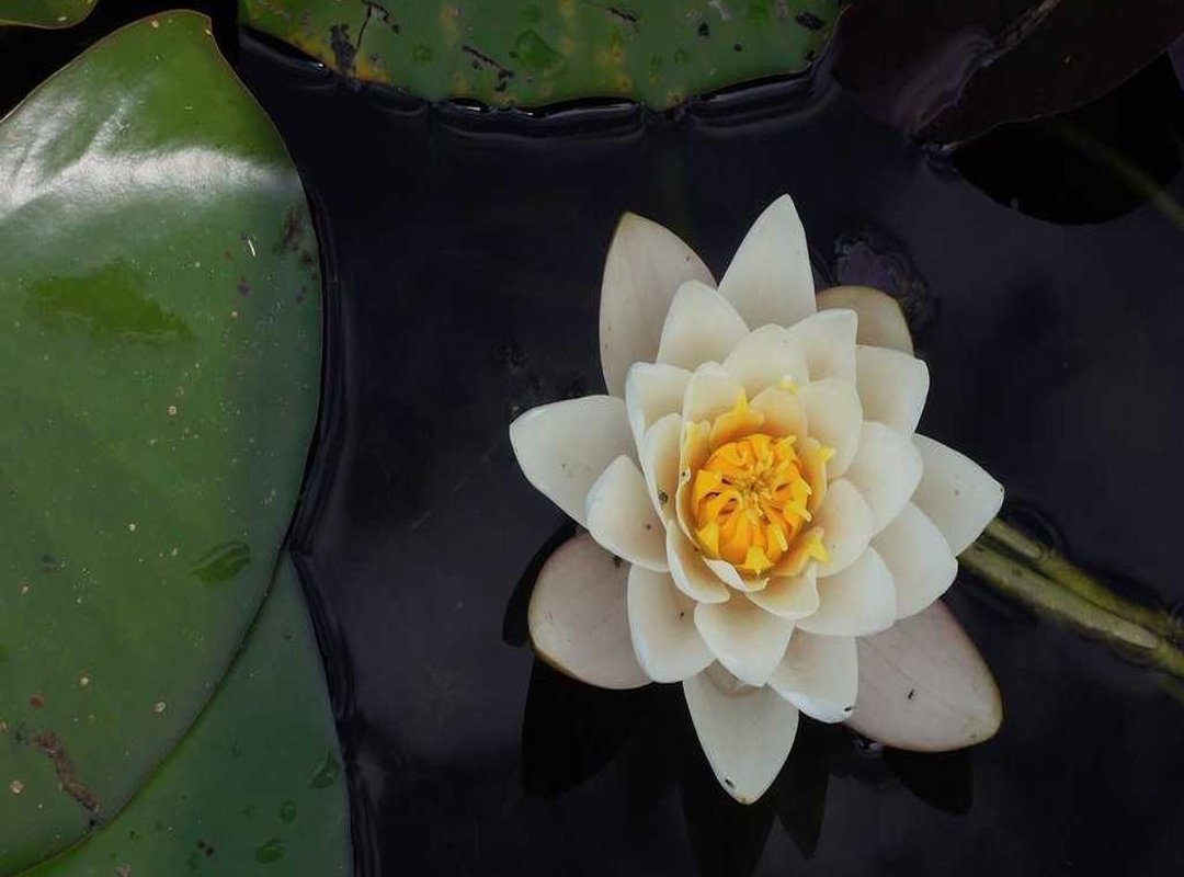 Adding the Final Details: Hair and Simple Shading