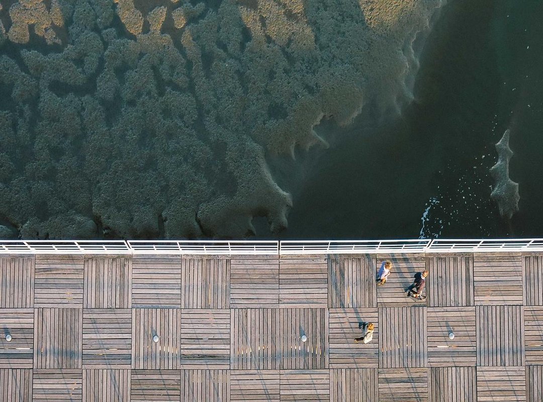 From Court to Campaign: How Her Style Defines Her Brand