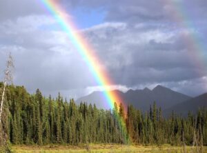 rainbow friends blue kleurplaat