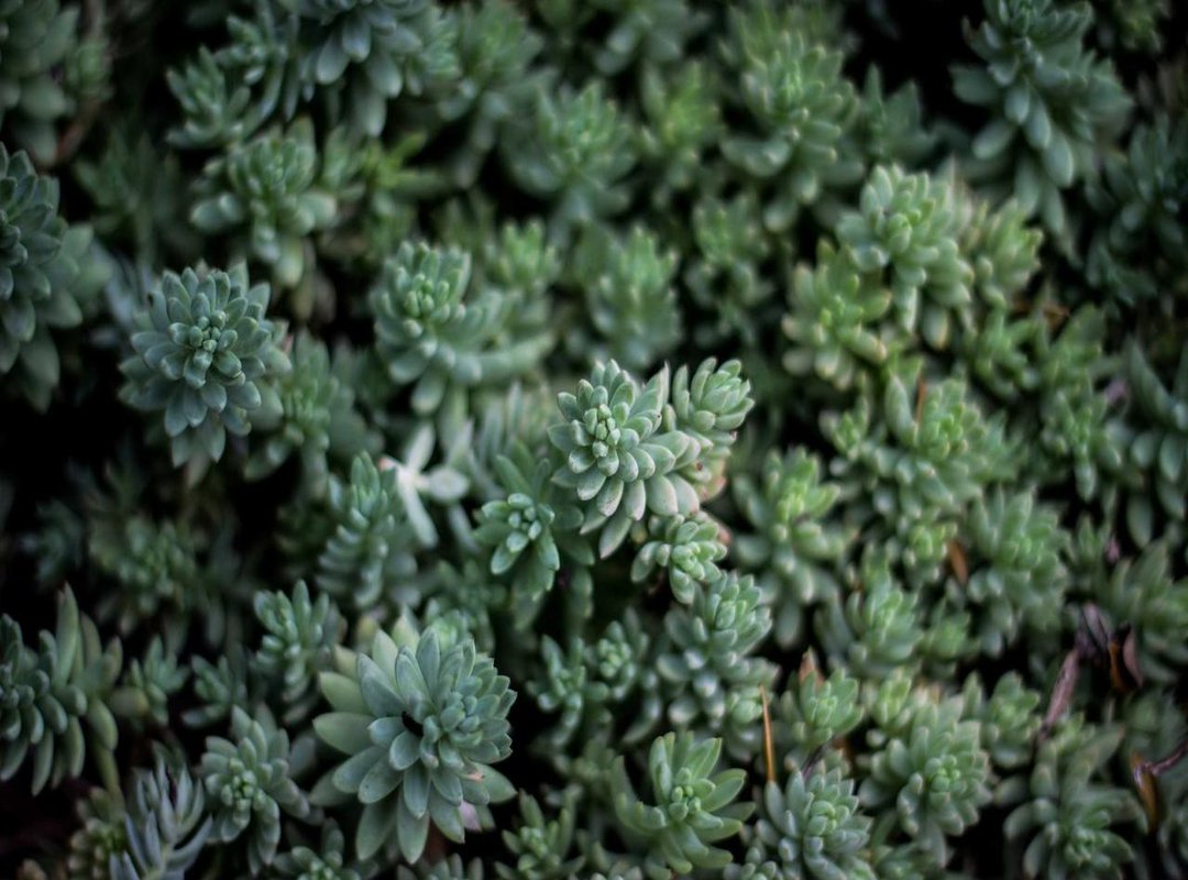 The Art of the Send: How to Use Romantic GIFs Without Being Cringey