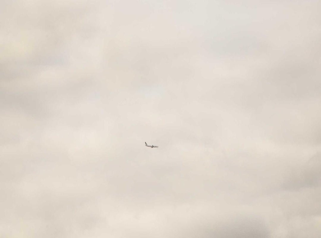 How to Cook Sawi Pahit: Simple Methods for Delicious Results