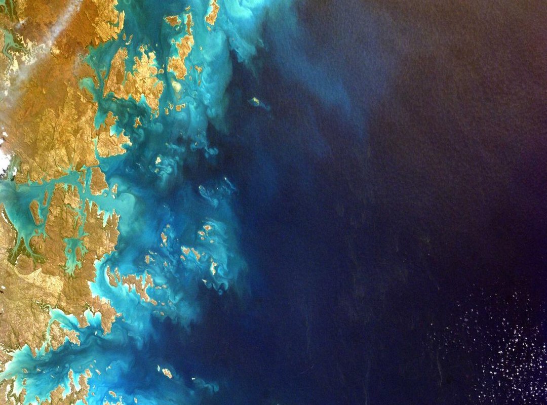 What Real People Are Saying: An Honest Look at User Opinions