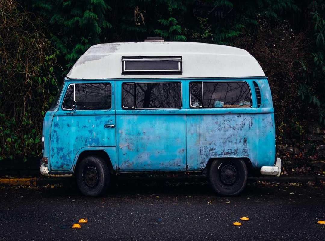 You've Found Snake Eggs: The Safe and Ethical Next Steps