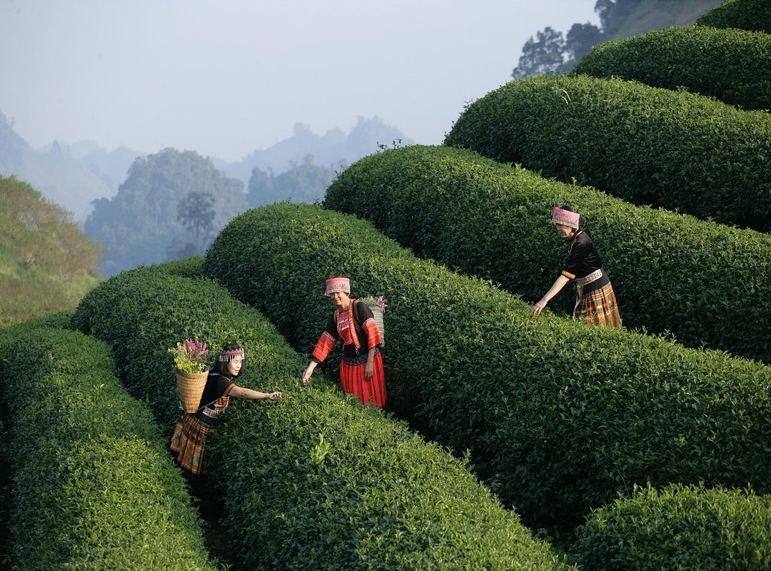 Why Streaming is a Better Experience than Downloading