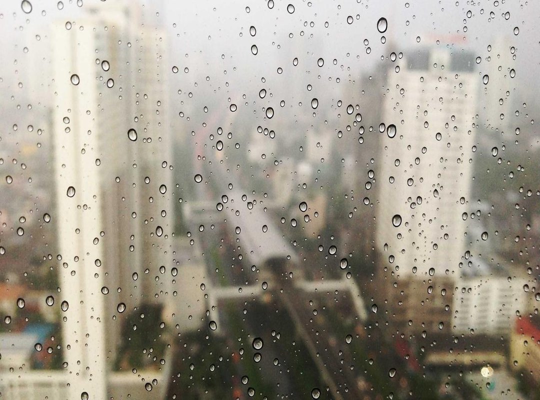 How to Write a Sincere Condolence Message: Examples and Templates