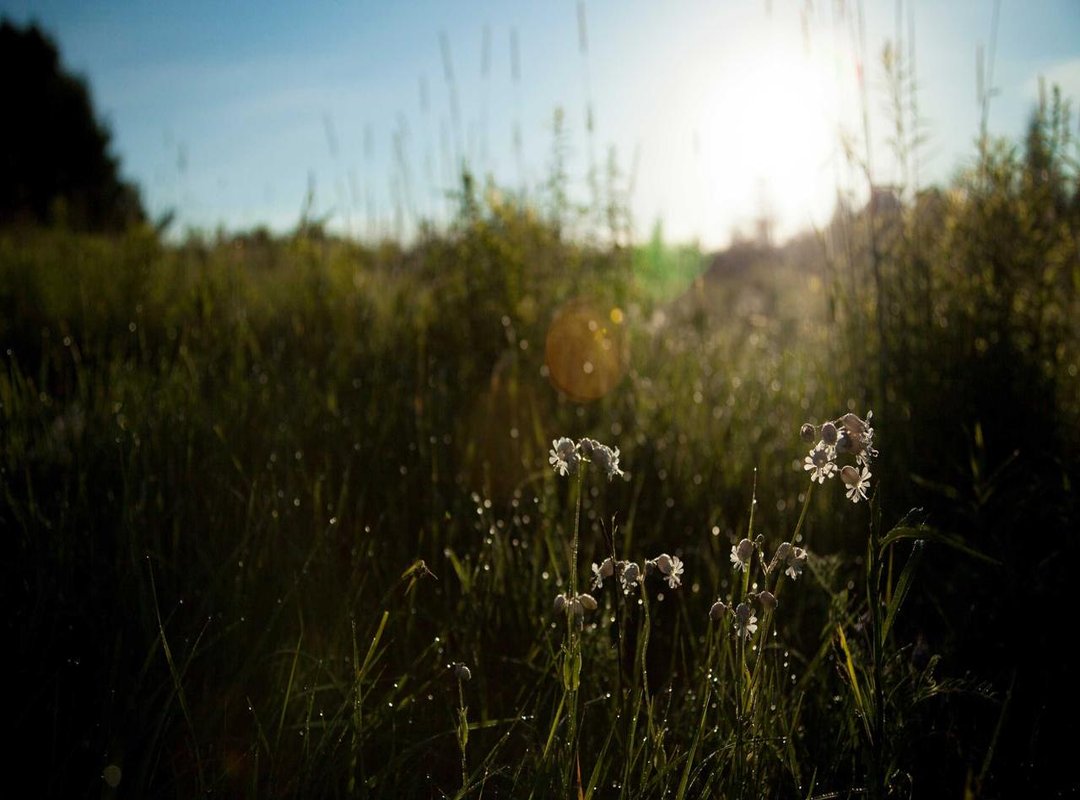 How to Set Your New Wallpaper: A Step-by-Step Guide