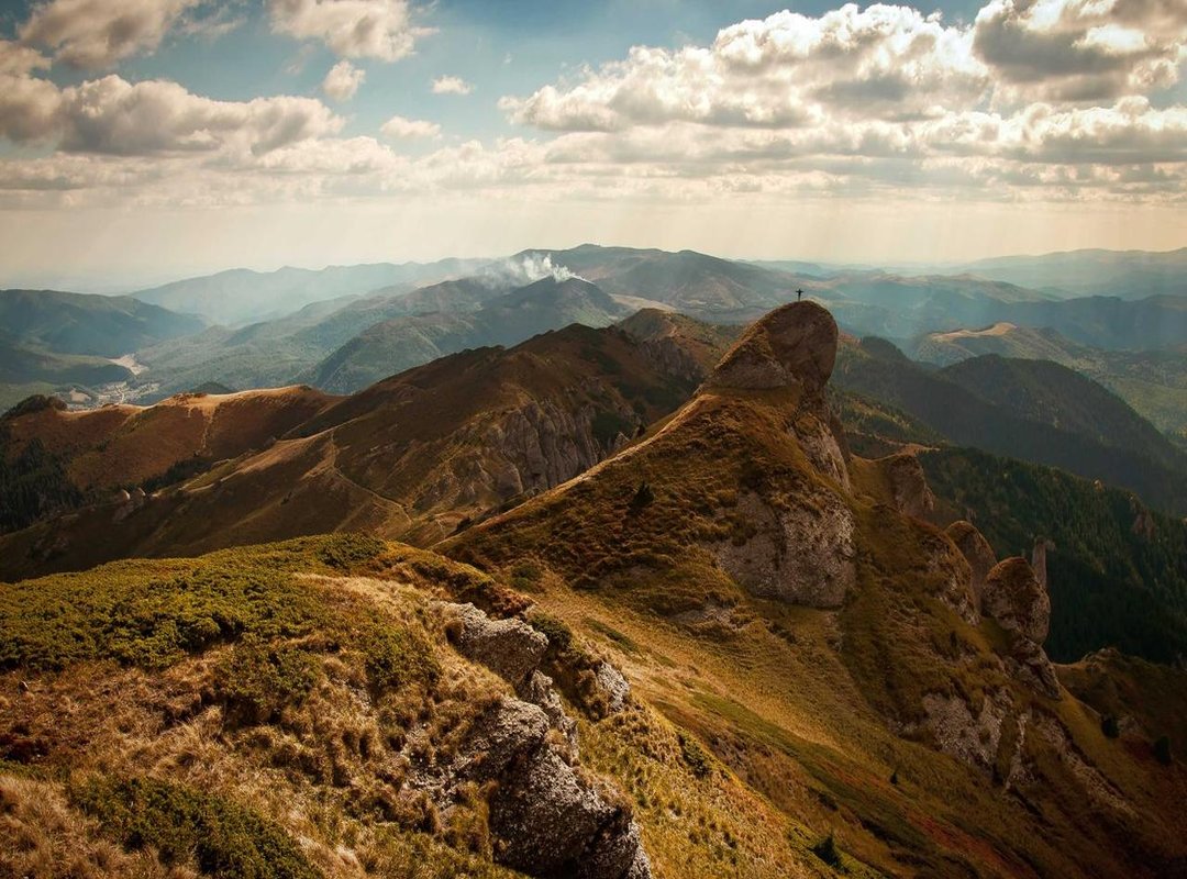 Kruidvat vs. The Competition: How Does It Compare to a Brand Like Waterpik?